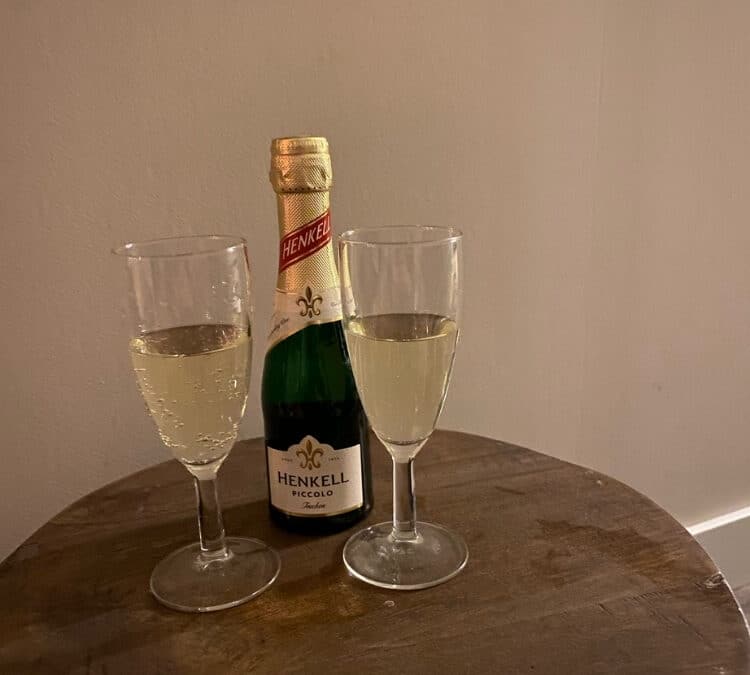 TERMINE AB 60 MIN SEKT MET DIE DAME  IM ZIMMER
